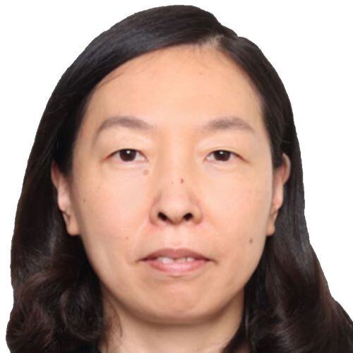 Prof. Ying Chen