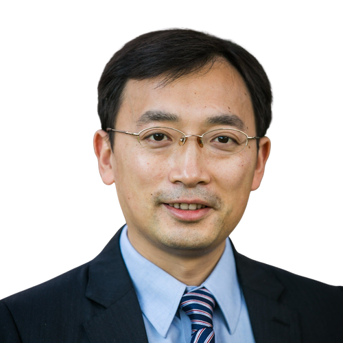 Prof. Wang Heng